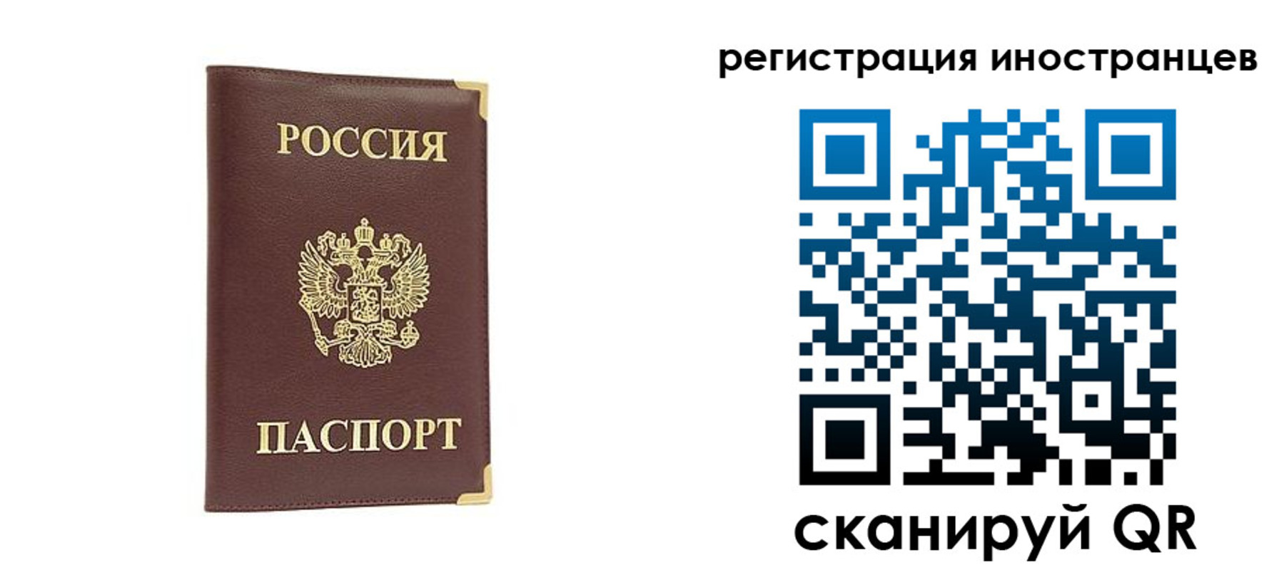 регистрация в Лосино-Петровском